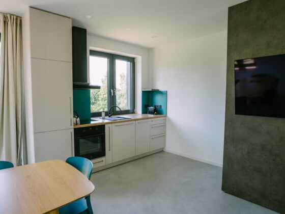 Apartmány EMMA v Jizerkách - apartmán HORIZONT - obývací pokoj - kuchyňský kout